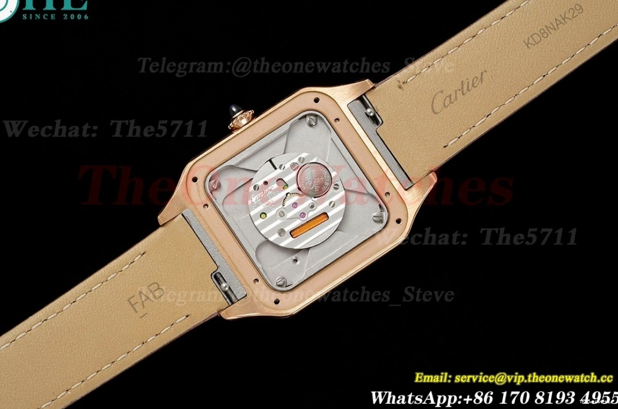 Dumont Dial Silver Brown Santos Quartz LE RG AF Dia 0313